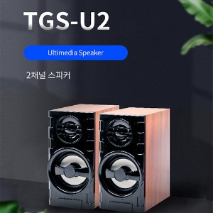 [공동구매] (H) TGS-U2 USB 유선 스피커
